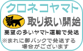 ��l�̂�������@���}�g�^�A����