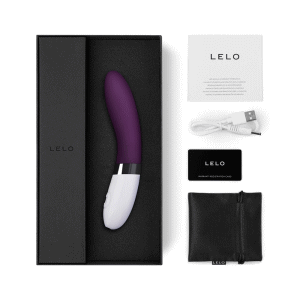 LELO@u 2@Z[Ỷ摜2
