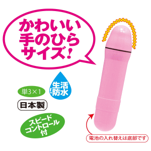 miniԂ̉摜2